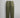 ALPHA INDUSTRIES WOMENS FATIGUE MOD PANT